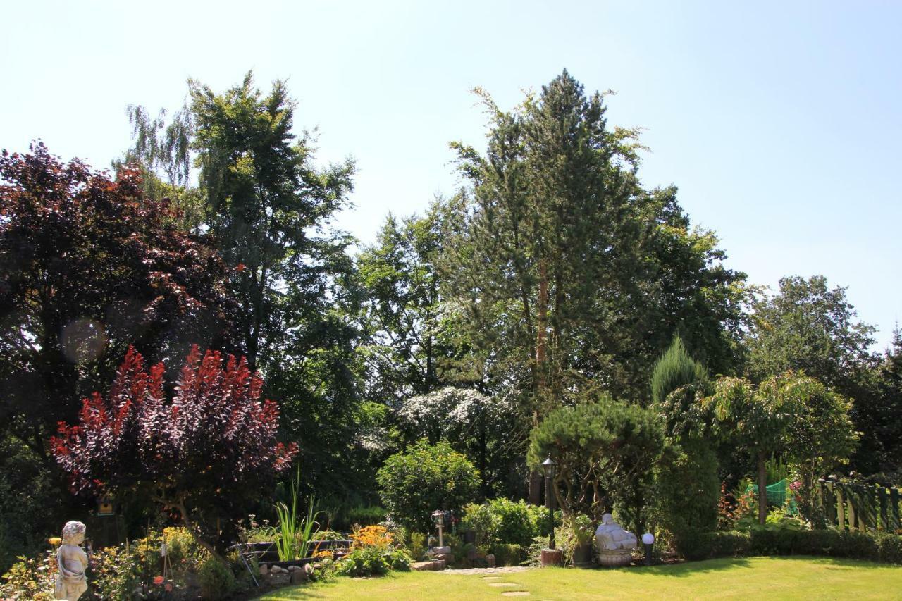 Bed And Breakfast Am Hoehenweg Warstein Exterior foto